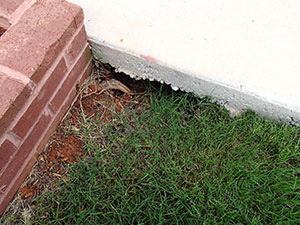Void in concrete sidewalk