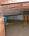 Mold and rot thriving in a dirt floor crawl space in Des Moines