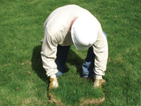 Restoring the landscaping by replacing removed lawn sections for a West Des Moines home.