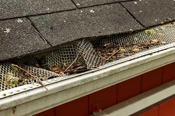 Iowa clogged gutters