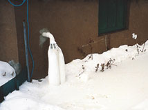 IceGuard® Installed Ankeny